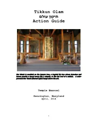 2014 Tikkun Olam Action Guide