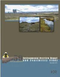 Environmental Overview Report and Feasibility Study