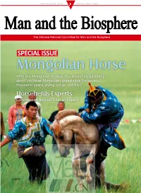 Mongolian Horse Why Are Mongolian Horses, the Creatures Galloping About on Inner Mongolian Grasslands for Several Thousand Years, Dying out So Quickly?