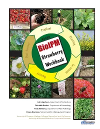 Bioipm Strawberry Workbook (A4080) I-2015