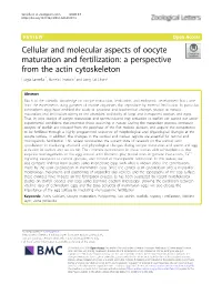 Cellular and Molecular Aspects of Oocyte
