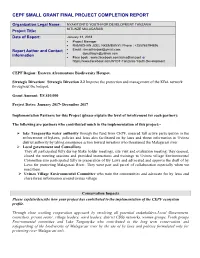 Final Project Completion Report