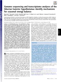 Genome Sequencing and Transcriptome Analyses of the Siberian Hamster Hypothalamus Identify Mechanisms for Seasonal Energy Balance