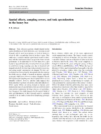 Spatial Effects, Sampling Errors, and Task Specialization in the Honey Bee