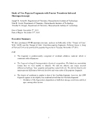 Study of Two Papyrus Fragments with Fourier Transform Infrared Microspectroscopy