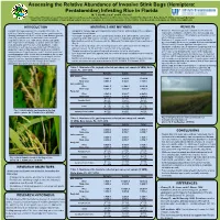 Assessing the Relative Abundance of Invasive Stink Bugs (Hemiptera: Pentatomidae) Infesting Rice in Florida M