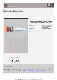 Print This Article
