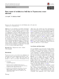 Rare Report of Orchitis in a Bull Due to Trypanosoma Evansi Infection