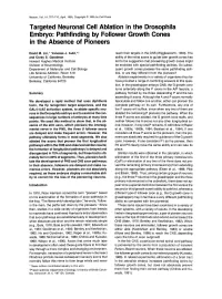 Targeted Neuronal Cell Ablation in the Drosophila Embryo: Pathfinding by Follower Growth Cones in the Absence of Pioneers