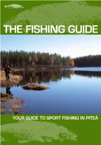 The Fishing Guide