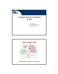Archaea Genome Analysis at JGI