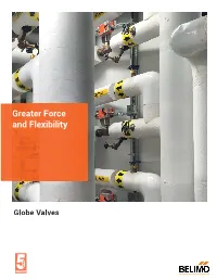 Belimo Globe Valve Technical Documentation