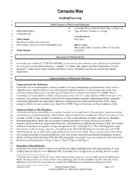 Technical Evaluation Report – Carnauba Wax (2014)