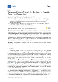 Humanized Mouse Models for the Study of Hepatitis C and Host Interactions