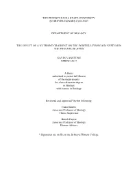 Open Vanstone Gavin Poritesgradient.Pdf
