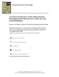 Phaeophyceae) Inferred from a Psbc and Rbcl Based Phylogeny