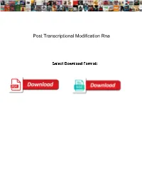 Post Transcriptional Modification Rna