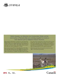 Bathurst Fact Sheet