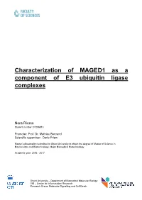 Characterization of MAGED1 As a Component of E3 Ubiquitin Ligase Complexes