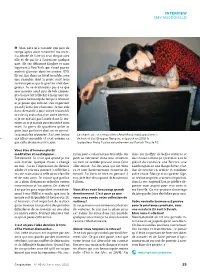 Interview Amy Macdonald