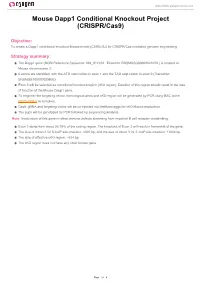 Mouse Dapp1 Conditional Knockout Project (CRISPR/Cas9)