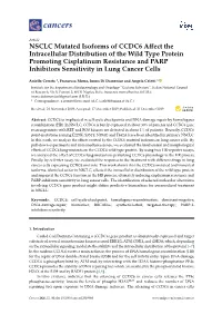 NSCLC Mutated Isoforms of CCDC6 Affect the Intracellular Distribution Of