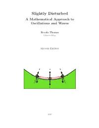 Slightly Disturbed a Mathematical Approach to Oscillations and Waves