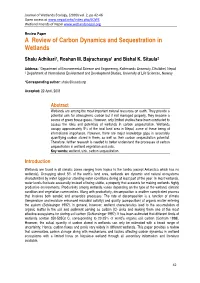 A Review of Carbon Dynamics and Sequestration in Wetlands