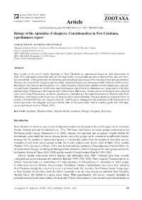 In New Caledonia, a Preliminary Report