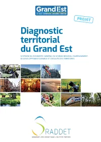 Synthese-Du-Diagnostic-Territorial-Sraddet.Pdf