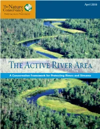 The Active River Area