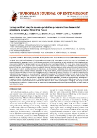 Using Sentinel Prey to Assess Predation Pressure from Terrestrial Predators in Water-ﬁ Lled Tree Holes