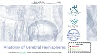 Anatomy of Cerebral Hemispheres Doctors Notes Notes/Extra Explanation Please View Our Editing File Before Studying This Lecture to Check for Any Changes