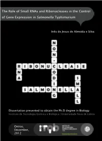 Dissertation Inês Silva ITQB.Pdf