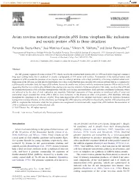 Avian Reovirus Nonstructural Protein ANS Forms Viroplasm-Like Inclusions and Recruits Protein Jns to These Structures