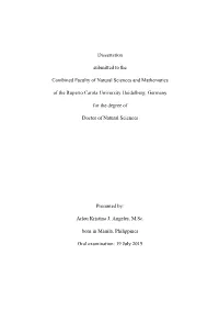 Dissertation