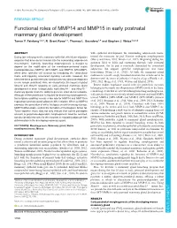 Functional Roles of MMP14 and MMP15 in Early Postnatal Mammary Gland Development Tamar Y