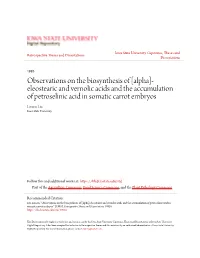 Observations on the Biosynthesis of [Alpha]-Eleostearic and Vernolic Acids and the Accumulation of Petroselinic Acid in Somatic Carrot Embryos " (1995)