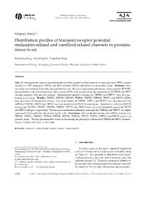 Distribution Profiles of Transient Receptor Potential Melastatin-Related and Vanilloid-Related Channels in Prostatic Tissue in Rat