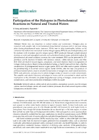 Participation of the Halogens in Photochemical Reactions in Natural and Treated Waters