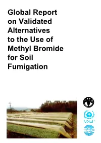 Global Report on Validated Alternatives to the Use of Methyl