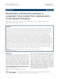 Identification and Bioactive Potential of Endophytic Fungi Isolated From