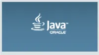 Java Puzzle Ball Nick Ristuccia