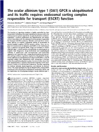 The Ocular Albinism Type 1 (OA1) GPCR Is Ubiquitinated and Its Trafﬁc Requires Endosomal Sorting Complex Responsible for Transport (ESCRT) Function