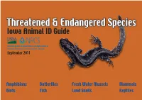 Threatened & Endangered Species