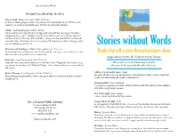 Stories Without Words