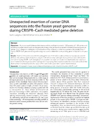 Unexpected Insertion of Carrier DNA Sequences Into the Fission Yeast Genome During CRISPR–Cas9 Mediated Gene Deletion