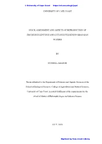University of Cape Coast Stock Assessment And