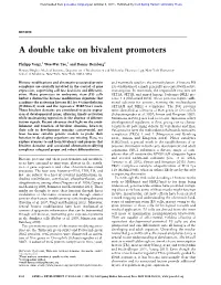 A Double Take on Bivalent Promoters