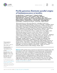 Firefly Genomes Illuminate Parallel Origins of Bioluminescence